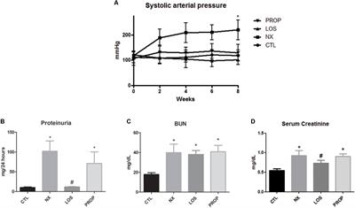 Klotho and PPAR Gamma Activation Mediate the Renoprotective Effect of Losartan in the 5/6 Nephrectomy Model